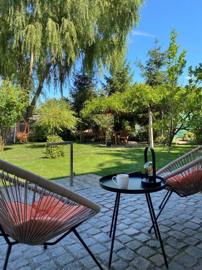 Garden House Timişoara