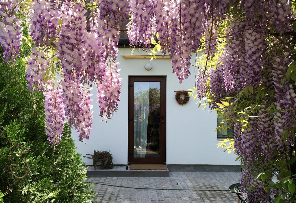 Apartament Garden House *